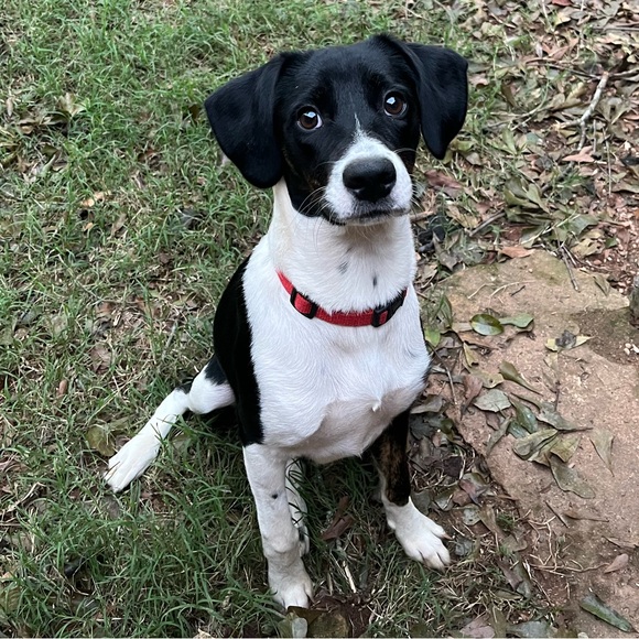 Meet your Posher, Patti - Picture 8 of 8